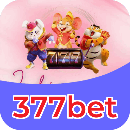 Central de downloads 255bet mostrando aplicativos disponíveis para iOS Android Windows Mac e versão web